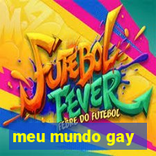 meu mundo gay